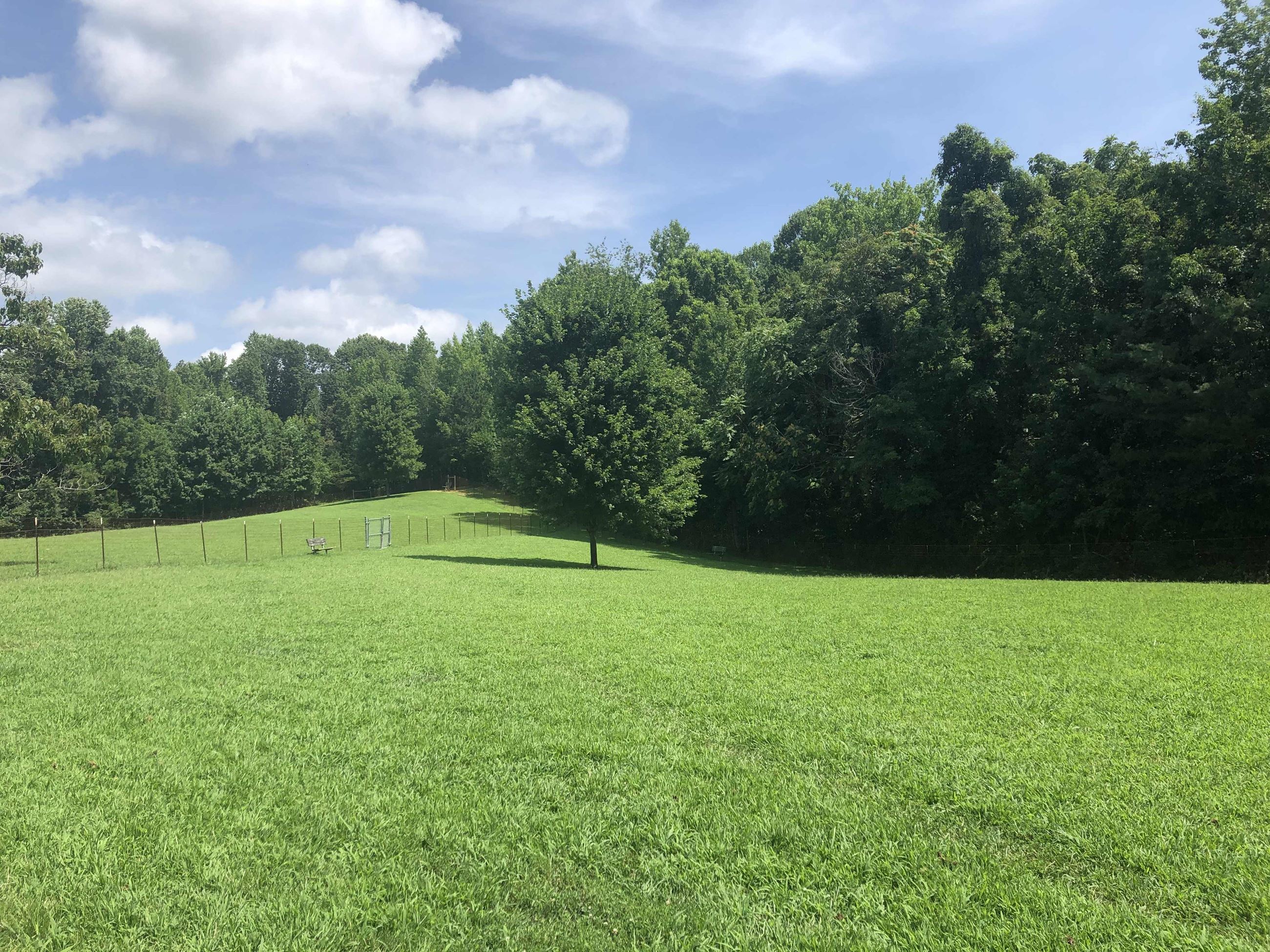 Grays Road Dog Park Open Field