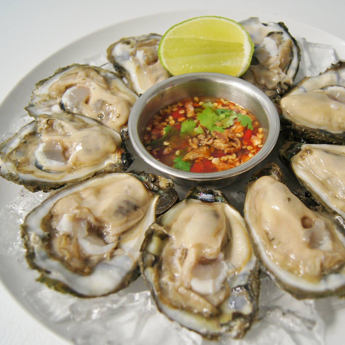 Plate of oysters surrounding a sauce
