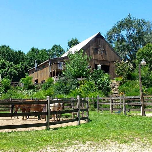 Barn on a hill and horses in a lower fenced area