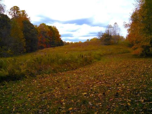 Biscoe Gray Heritage Farm