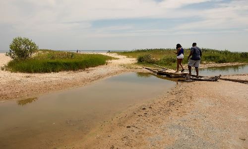 Dad and daughter on  beach at Flag Ponds