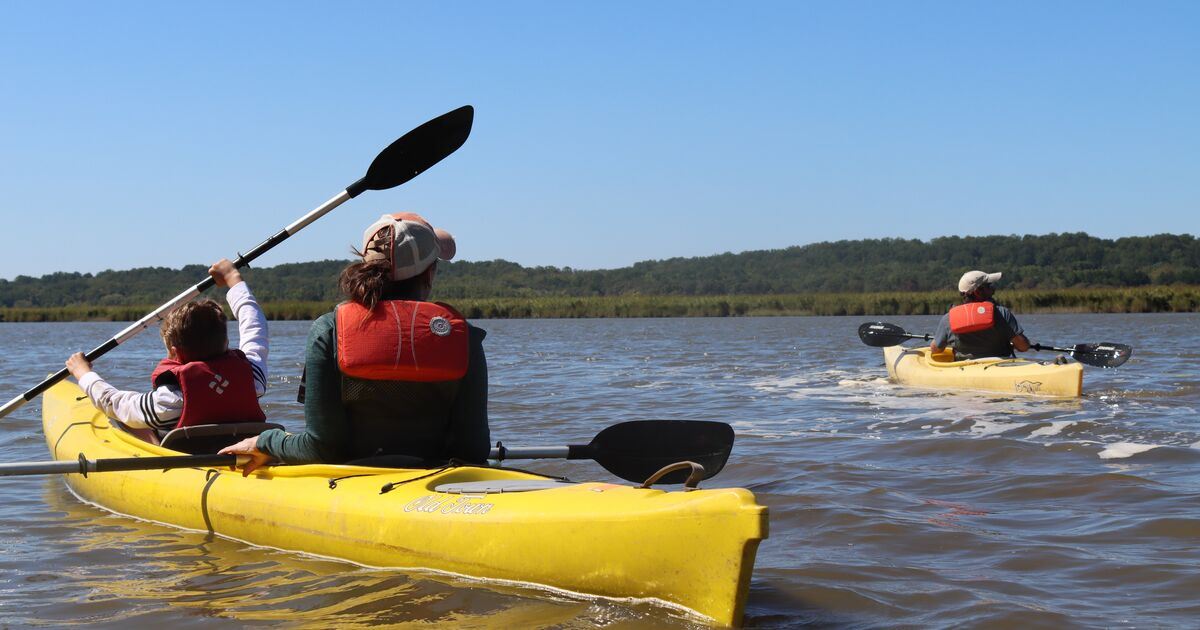 Group of people kayaking