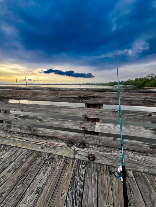 Daniel Angelo Cobb Carrasco_High_1st Place