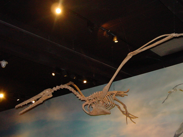 Calvert Marine Museum